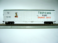 ǰ 17947 TROPICANA